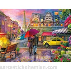 Buffalo Games Cities in Color Raining in Paris 750 Piece Jigsaw Puzzle Original Version